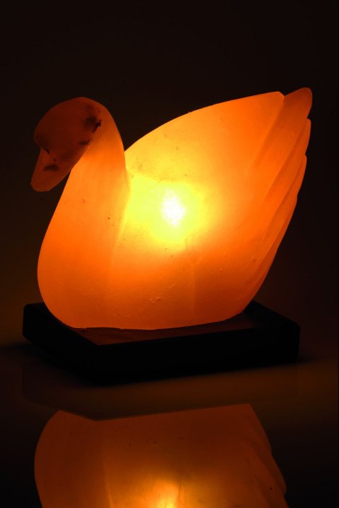 Enten-Salzlampe 2-3 kg