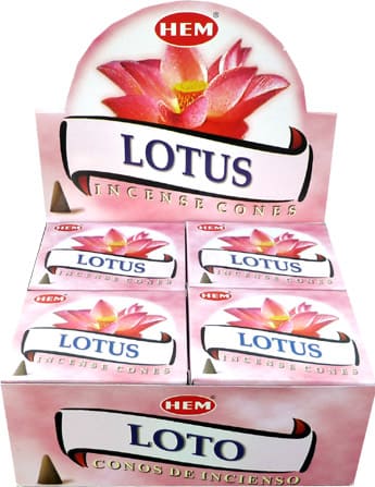 Lotus-Zapfen Hem Weihrauch