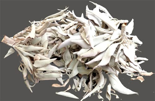 Weihrauch bei Bulk California Weißer Salbei 25g