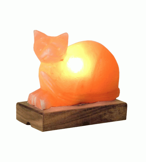 Katzen-Salzlampe 3 kg