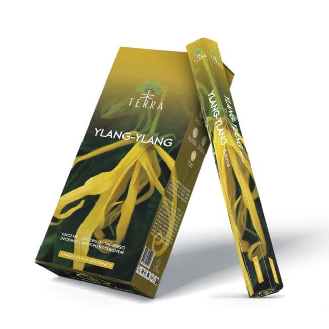 Weihrauch bei Terra Ylang-Ylang Hexa Weihrauch ohne Holzkohle 30gr
