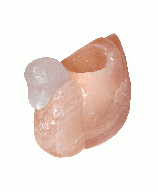 Kerzenhalter in Schwanenform aus natürlichem Salzkristall, 1 kg