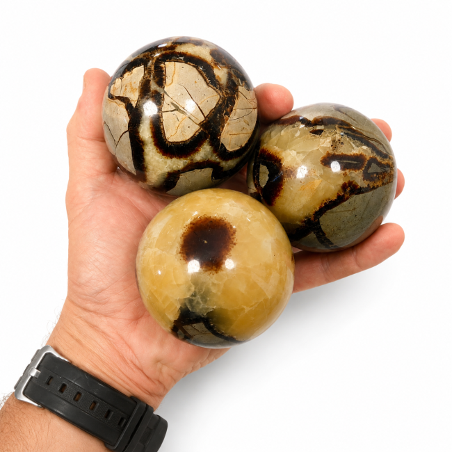 Weihrauch bei 3 polierte Septaria-Kugeln, 1,340 kg