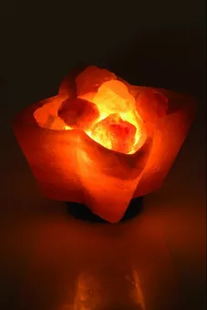 Salzlampen-Blumenschale 3 kg