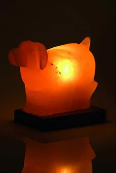 Salzlampe für Hunde, 2-3 kg