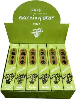 Japanisches Räucherwerk Morning Star Kiefer 50 Stäbchen