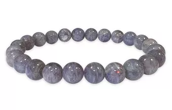 Armband Cordierit Lolite AA-Perlen 7.5-8.5 mm