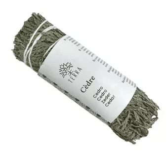 Natürliches Thuja-Bündel aus weißem Zedernholz, 25–30 g, 10 cm