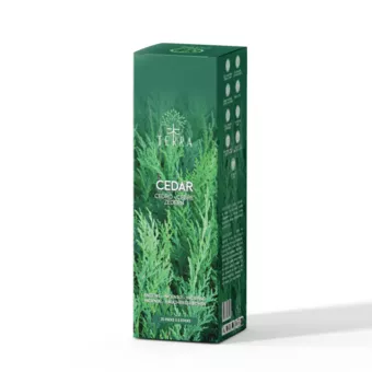 TERRA Zedernholz-Räucherstäbchen ohne Holzkohle 12 g