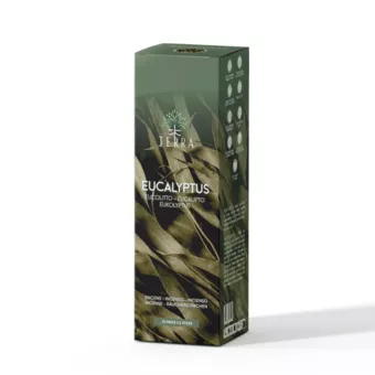 TERRA Eukalyptus-Räucherstäbchen ohne Holzkohle 12 g