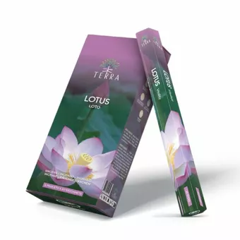 Terra Lotus Hexa Weihrauch ohne Holzkohle 30gr