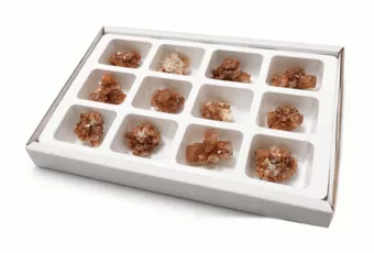 Display mit 12 rohen Aragonit-Stufen 3-4 cm