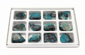 Display mit 12 Chrysokoll-Malachit Rohsteinen 3-4 cm