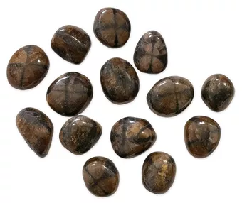 Chiastolith A Trommelsteine 2-3cm 250g