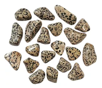 Dalmatiner-Jaspis AB Trommelsteine 2-3 cm 250 g