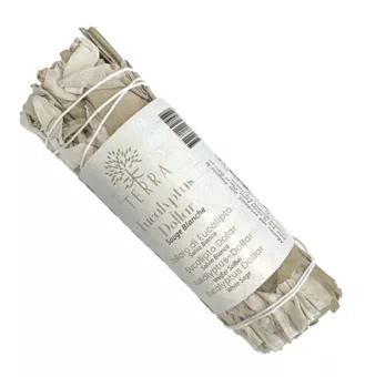 Weißer Salbei und Eukalyptus-Dollar-Bündel 25–30 g 10 cm