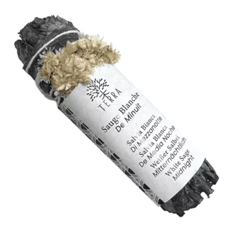 Mitternachtsweißer Salbei, Bündel 25–30 g, 10 cm
