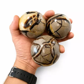 3 polierte Septaria-Kugeln, 1,330 kg