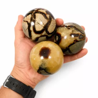 3 polierte Septaria-Kugeln, 1,340 kg