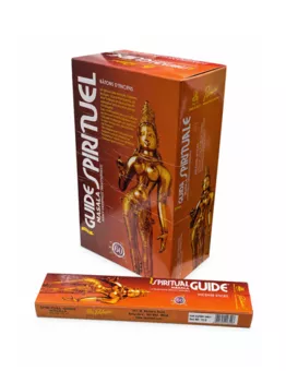 Padmini Masala Spiritual Guide Räucherstäbchen 15g