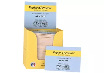 Papierjahr Armeniens x30
