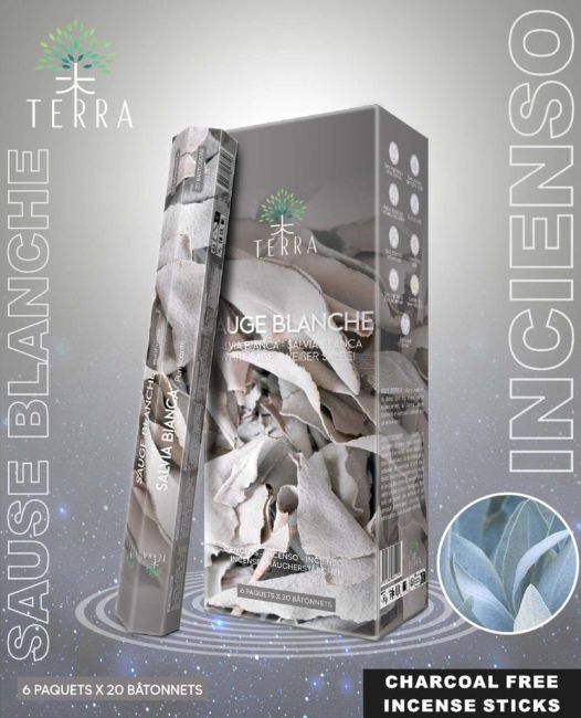 Terra White Sage Hexa-Räucherstäbchen ohne Holzkohle