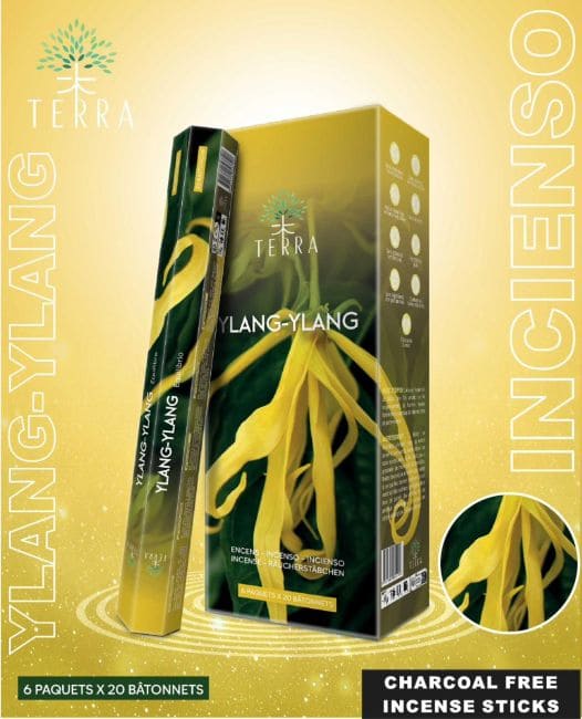 Weihrauch bei Terra Ylang-Ylang Hexa Weihrauch ohne Holzkohle 30gr|de