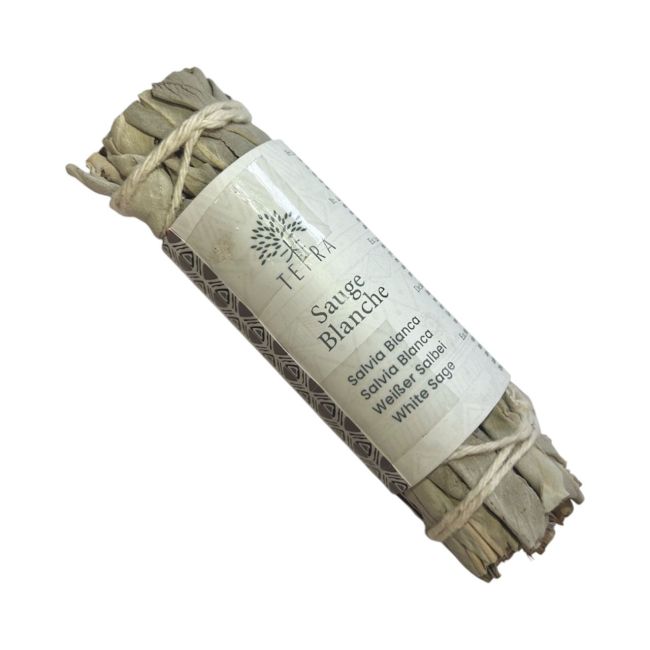 Weißer Salbei kalifornisches Bündel 19–25 g 10 cm